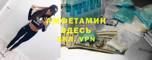 мдпв Белокуриха