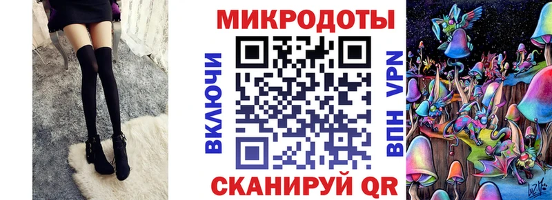 Галлюциногенные грибы Psilocybe  купить наркотик  Дальнегорск 